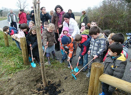 un-arbre-un-enfant-01