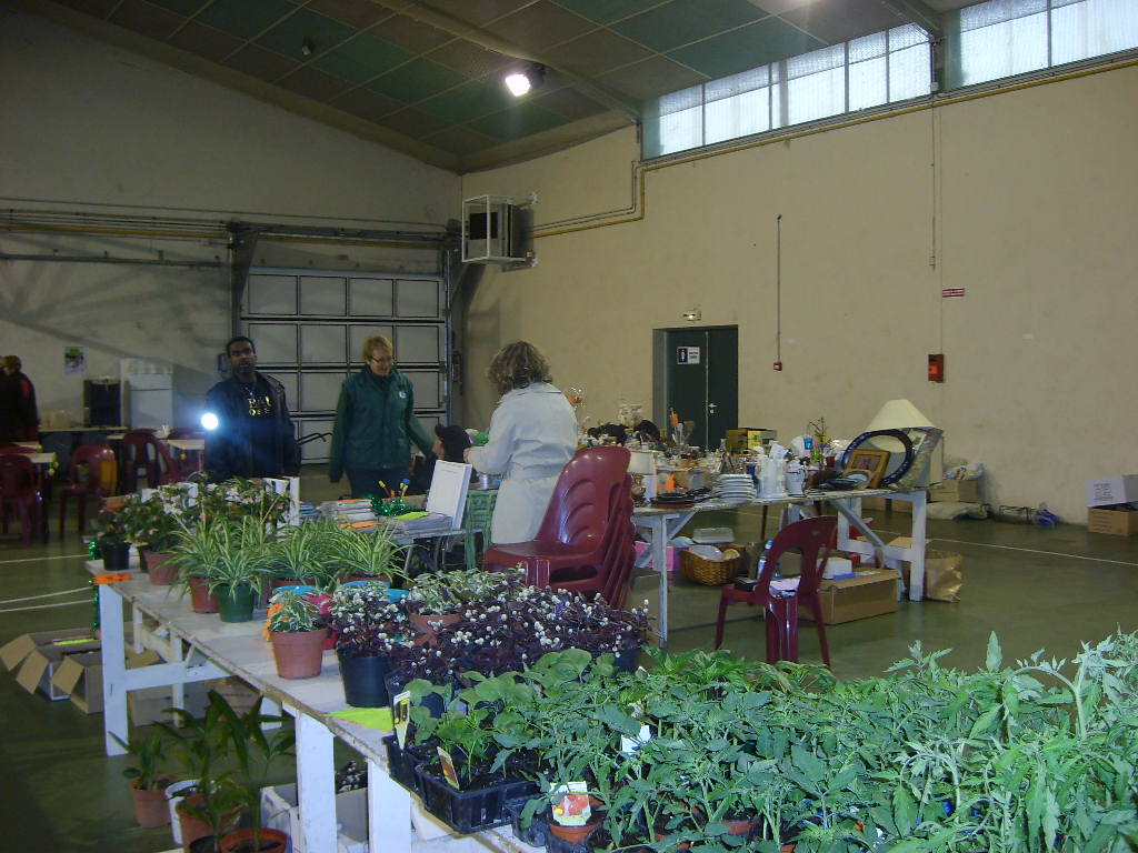 Marché aux fleurs