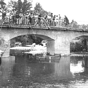 1963 concours de pêche 2